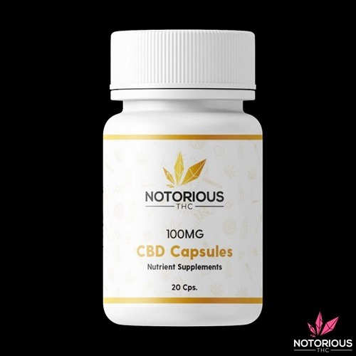 Notorious Capsules – CBD 2000mg per Bottle
90.00 CA$
See more : https://thegreenace.org/product/notorious-capsules-cbd-100mg/
Notorious CBD capsules are made with grape seed oil MCT and have a total of 2000 mg of CBD oil.
Effects: Notorious’s CBD...