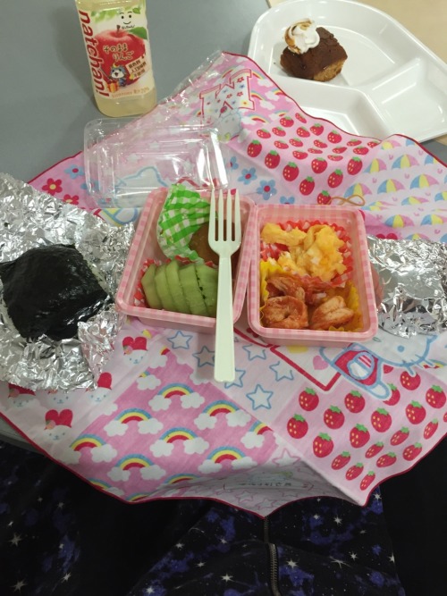 My host mother made be a bento and it was so cute and I even got to keep the scarf it was wrapped in