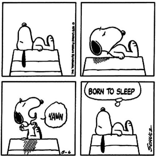 Snoopy Of The Day
