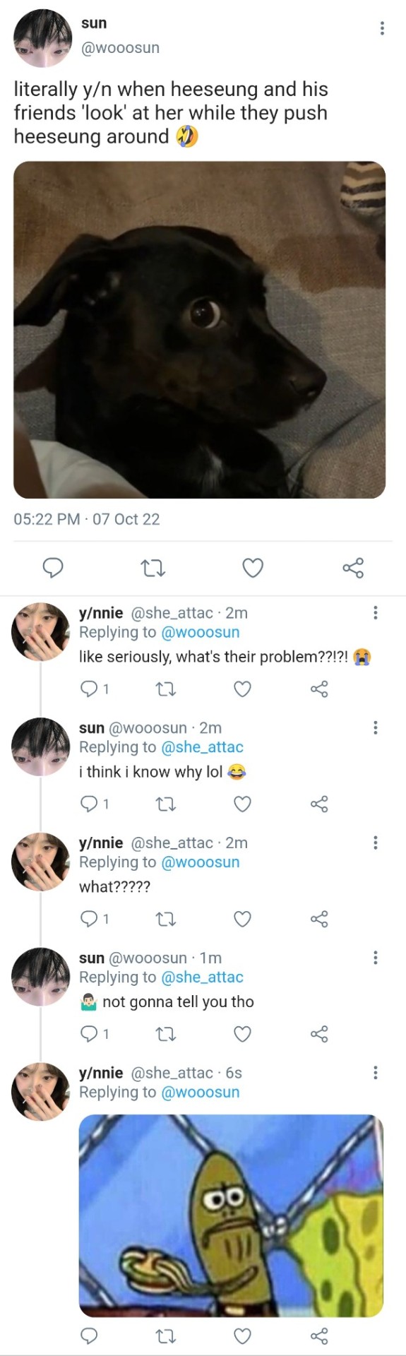 CURIOUS CAT Ignore Me