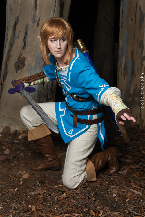 Champion LinkLegend of Zelda: Breath of the WildCosplay made and modeled by mePhoto by Coldbluesky P