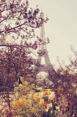 conflictingheart:  Spring time in Paris |