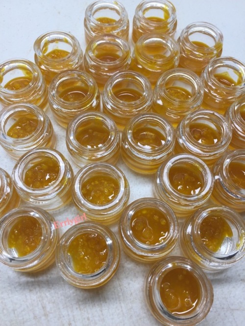 errlygirl:Sum sauce for the bees