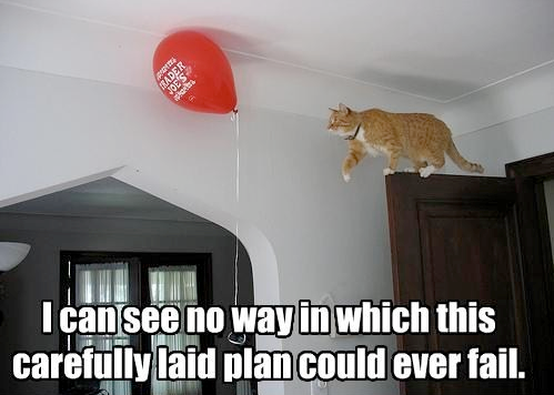Imminent cat-astrophe  ;)