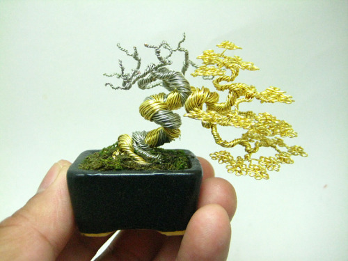 variablejabberwocky: ashkatom: pixieorsomething: ianbrooks: Wire Bonsai by Ken To Bonsai is a r