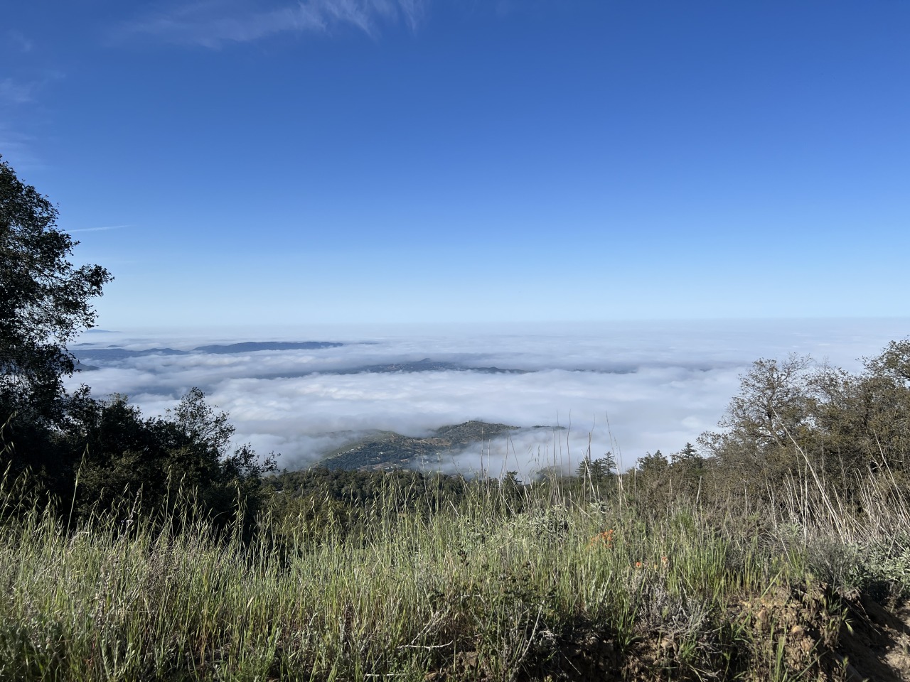 The troop went camping on Palomar mountain over the weekend and hiked 6 miles. Good job people!