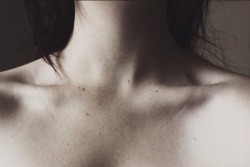 sydnerd:Have my collarbones