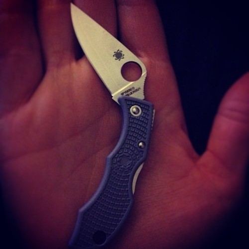 thisshipwreck:  look at this little baby. it’s so tiny and cute. 😊 #boobcarry #spyderco Ladybug Sprint Run. 