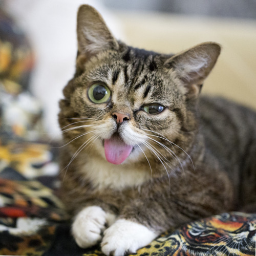 bublog:  We’ll be sharing a steady barrage of the best BUB photos today. Just for you.