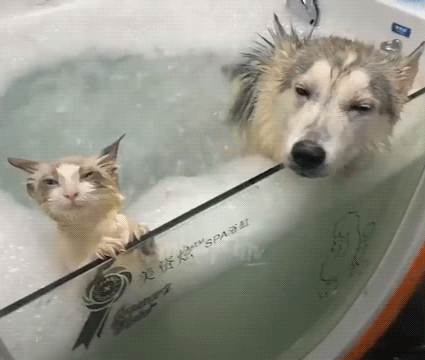 Favorite Gif That Came In When I Typed In "therapy" In The Tumblr Gif Collection:
