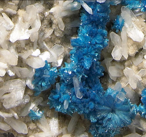 Cavansite - Wagholi, Poona, IndiaOn occasion nature cooperates and creates a conversation piece. Suc