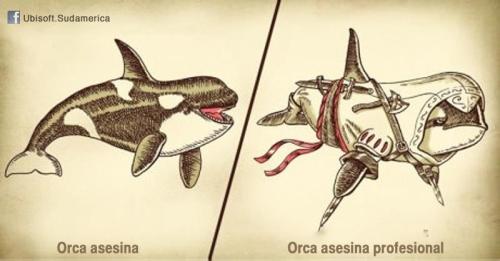 orca asesina