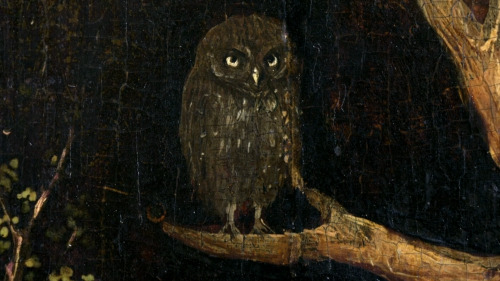 heksenwald:OWLS BY HIERONYMUS BOSCHaltarpiece of the hermits / last judgement / the temptation of saint anthony / garden of earthly delights / crucifixation of saint julia /  saint jerome 
