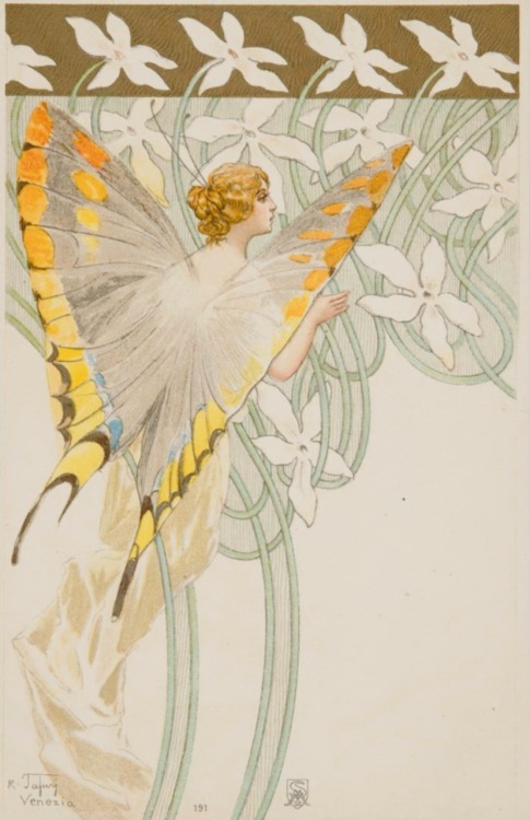 Butterflies. Vintage post cards. Art by Raffaele Tafuri.(1857-1929).