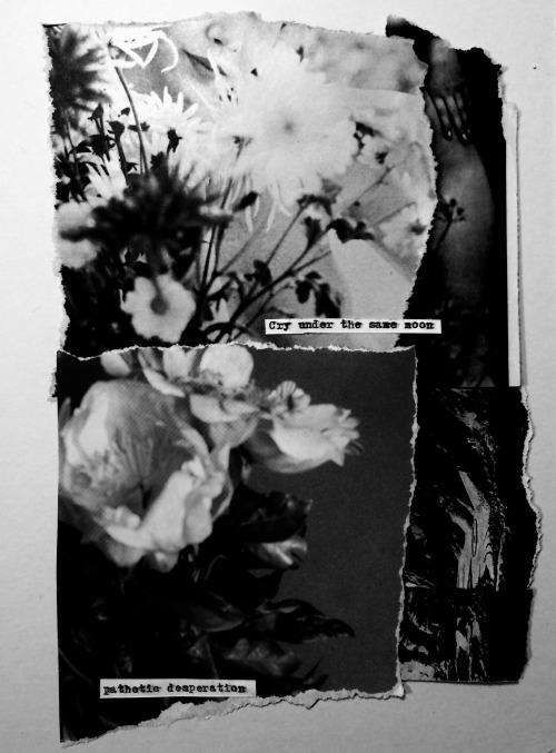 drowning-in-limbo:  © Lydia Lazarus 2016