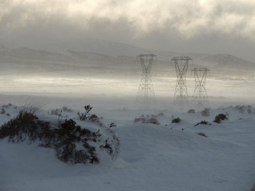 XXX trefoiled:Central Plateau, New Zealand by photo