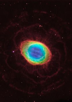 astronomicalwonders:  The Ring Nebula - M57The