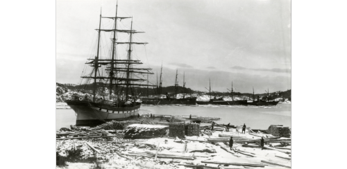 The 3-masted barque Dorothy (laid down 1894) loading lumber somewhere in Norway abt. 1894-97Found at