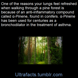 ultrafacts:  (Fact Source)Follow Ultrafacts for more facts 