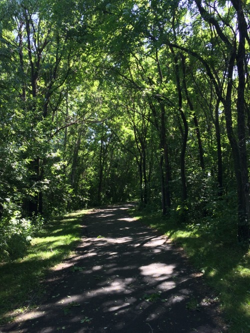 Running trail