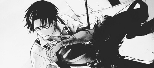 In The Wrong. / Levi X F!reader