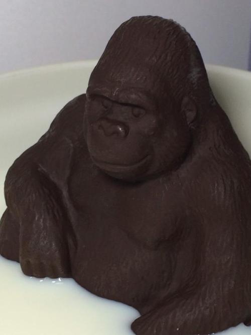 coolgrool420:khoide:shuarchy:とりあえず牛乳に入れてみたよこいつはw有名なチョコwwえthe milk ape waits and bides his time