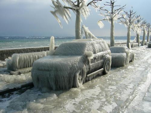 odditiesoflife:  Frozen Swiss Landscape In January 2005, Lake Geneva and the surrounding area were hit with a horrific ice storm. Everything was completely blanketed with ice when waves breaking on the lake’s shore hardened into a solid coating in the