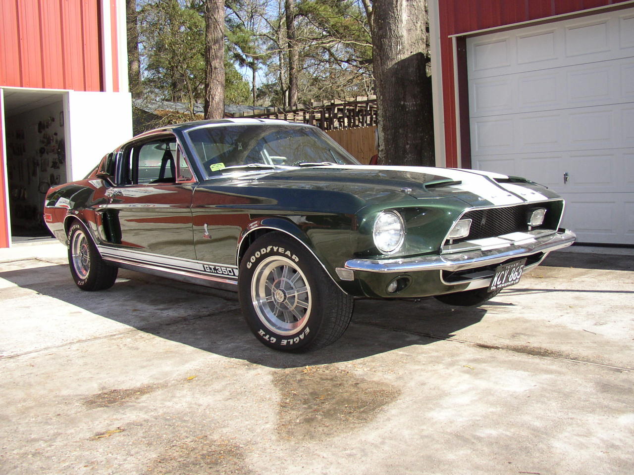 JUST THE COOLEST MUSTANGS