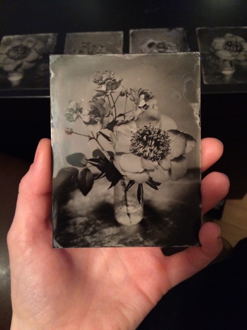 brookelynne:  gotta say… i’m getting pretty good at this whole making tintypes thing…  {  these will be up in my etsy shop soon ! }   I’ve taken a mini hiatus from shooting, but am gonna get back on making plates soon.In the meantime, there’s