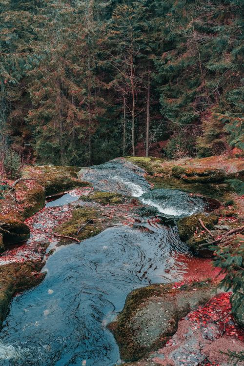 expressions-of-nature:Kamienczyk Waterfall, Poland by Samur Isma