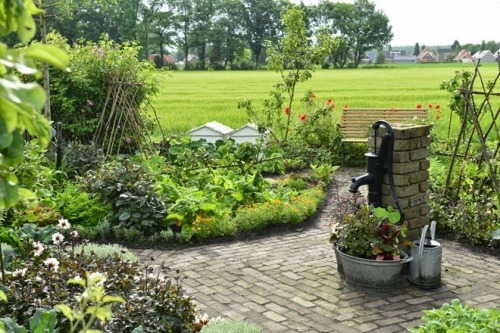 Beautiful garden example from Europe (Netherlands) - more photos and Danish text here by Claus Dalby