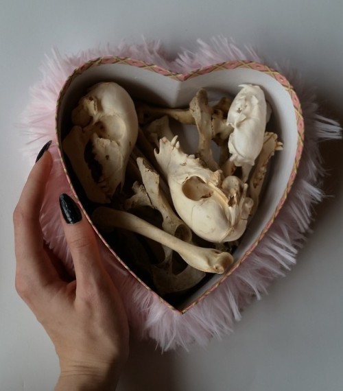 cummy–eyelids:Fluffy heart shaped box of animal bones