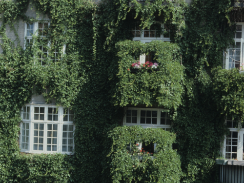 vintagenorway:Apartment building with lush balconies in Oslo, 1983