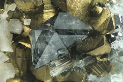 underthescopeminerals:    Scheelite, Chalcopyrite,