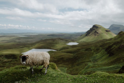 wanderthewood:Isle of Skye, Scotland by joannablu