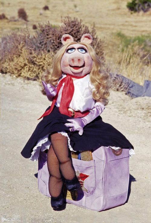 The Muppets — Miss Piggy hitches a ride in The Muppet Movie.