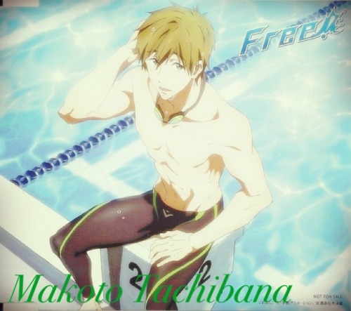Free! Iwatobi Swim Club Members X3