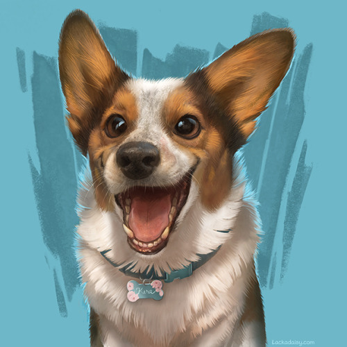 lackadaisycats:A corgi, for these trying times.(Some of my Patreon art)