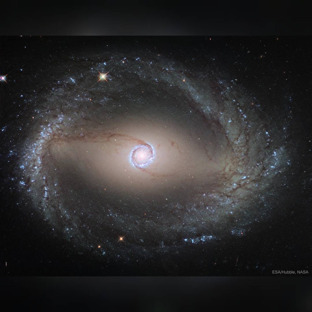 Spiral Galaxy NGC 1512: The Inner Ring #nasa #apod #esa #hubblespacetelescope #ngc1512