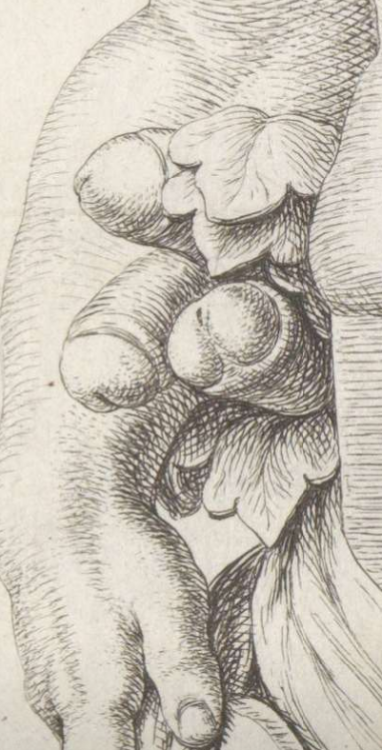 Hubert QuellinusHerm of Priapus, 1646 - 1670RijksmuseumHubertus Quellinus or Hubert Quellinus (Augus