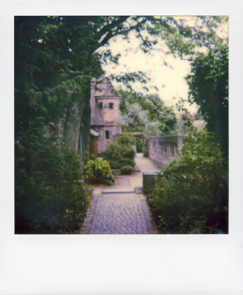 Polaroid #1: Bürgermeistergarten - by Alex Alleshater