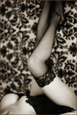 black-rose-66:torathon:🕸. .
