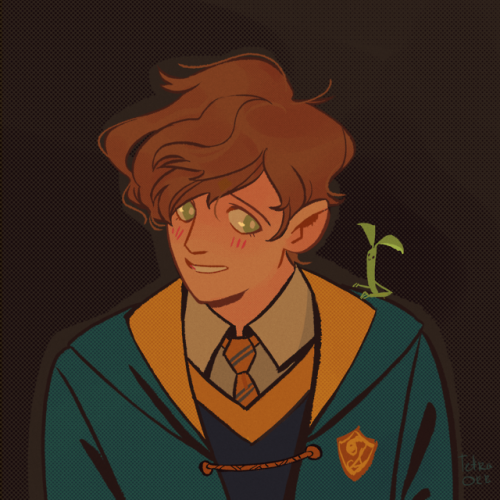 tetraorb: The new trailer for Fantastic beasts is s good! I want to go back to Hogwarts! And young N