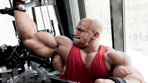 Sex Big Ramy pictures