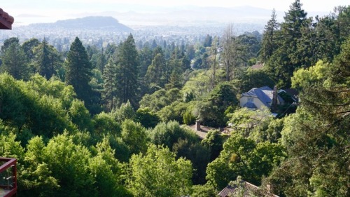 hilltop view