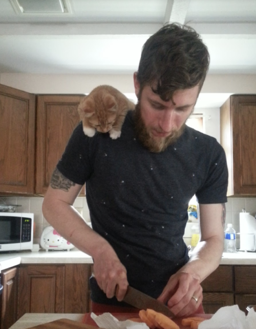 dawwwwfactory:  This is Vivienne. She loves to watch my husband prep in the kitchen. Click here for more adorable animal pics!