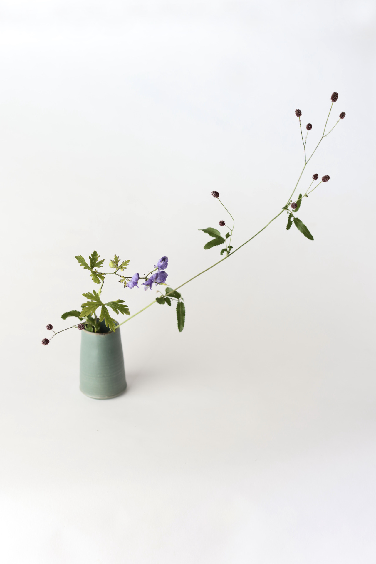 漆原友紀tumblr Posts Tumbral Com