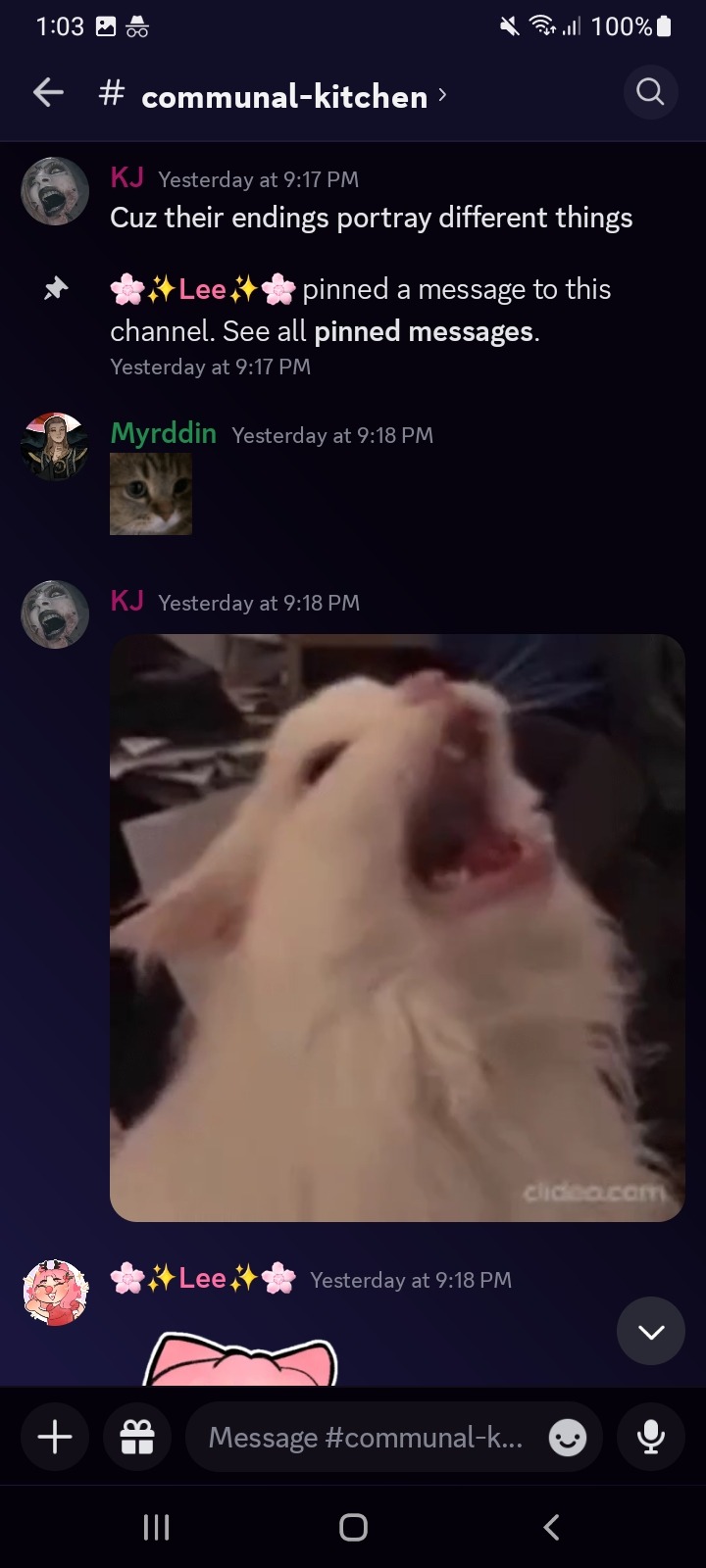 Tumblr media