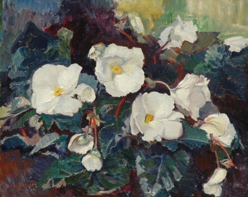 art-and-things-of-beauty:Frans Oerder (South African, born Netherlands, 1867-1944), Begonias. Oil on