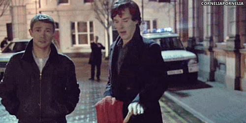 channybatch:  corneliapornelia:  Now this is adorable  it will never be the other